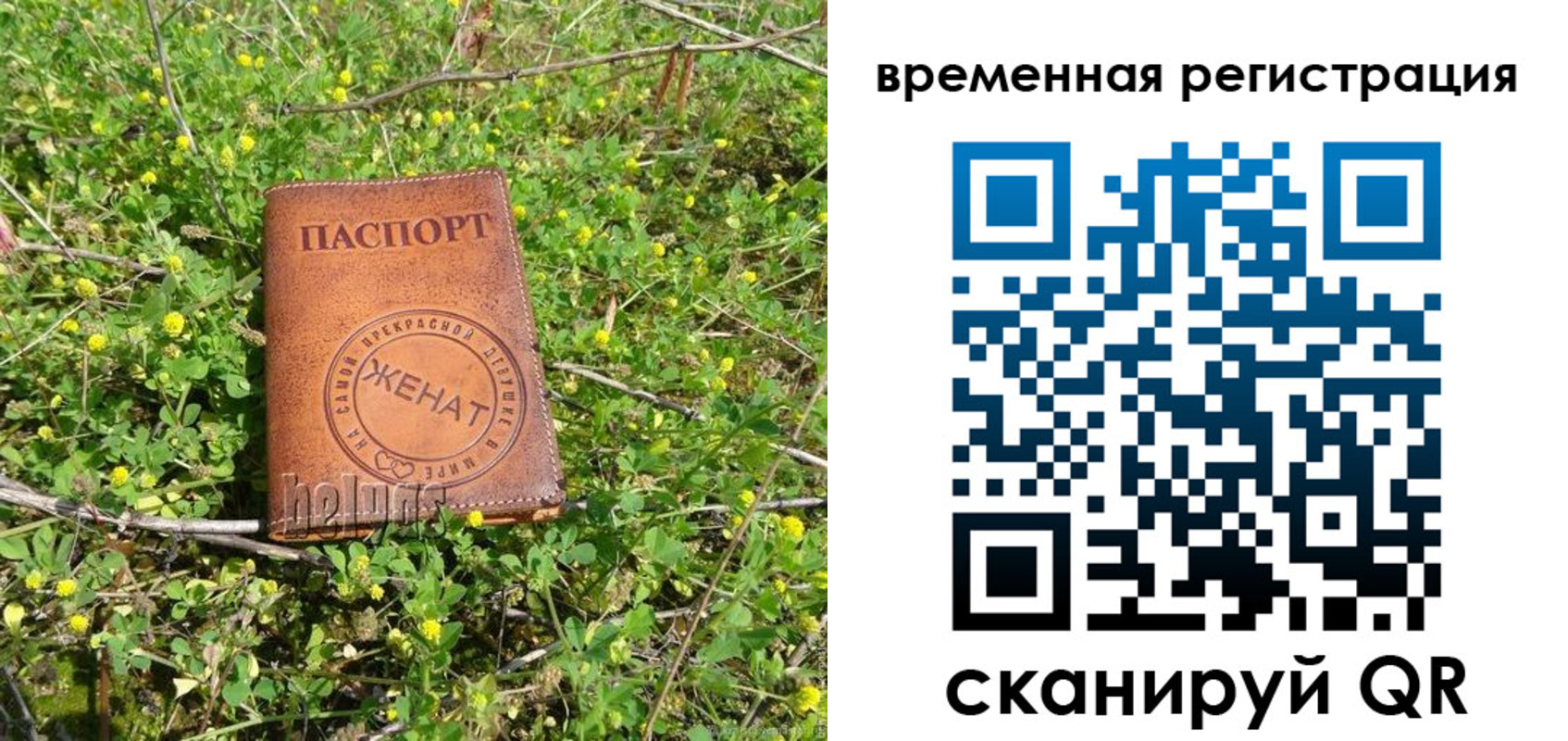 прописка регистрация в Карелии